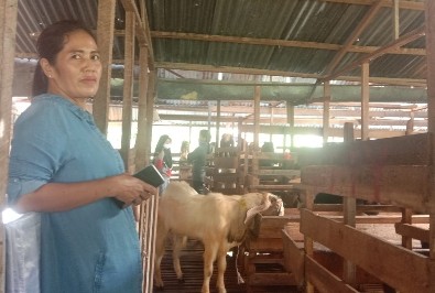 Penjualan Kambing Kurban Merosot