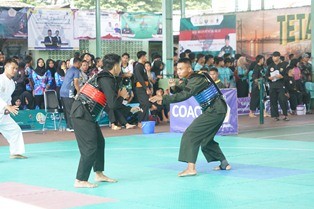 cilek.jpg