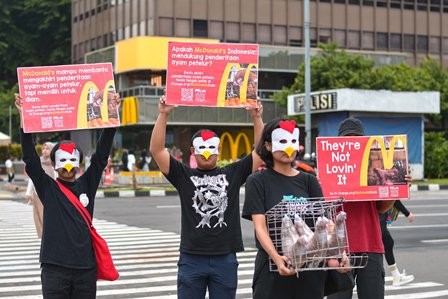 Gelar Aksi di Lima Kota, AFJ Desak McDonalds Indonesia Terapkan Kebijakan Kesejahteraan Ayam Petelur