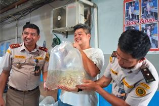 Dari Sungai Batanghari ke Dunia: Karantina Jaga Kualitas Ikan Seluang