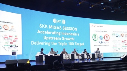 tipe1002.jpg