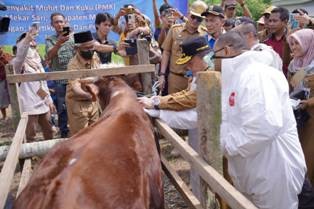 Gubernur Al Haris Berharap Vaksinasi Atasi PMK   