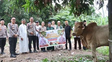 wawan5.jpg