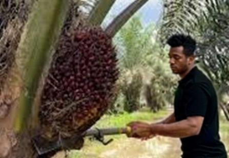 Perjuangan Buruh Harian Lepas Menuju Kesejahteraan Berkelanjutan